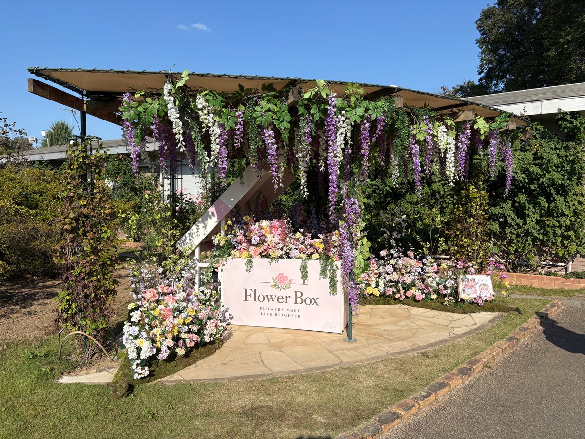 白や紫の花を飾ったフラワーボックス