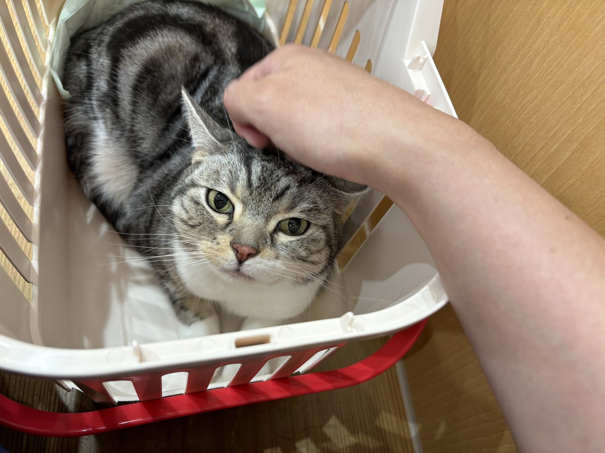 動物病院での様子②