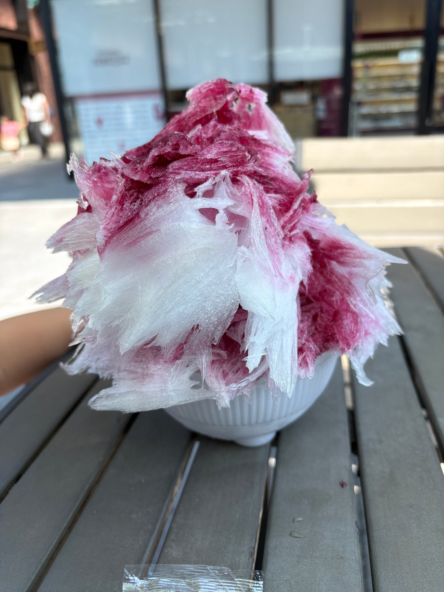長瀞とガレのブルーベリーかき氷