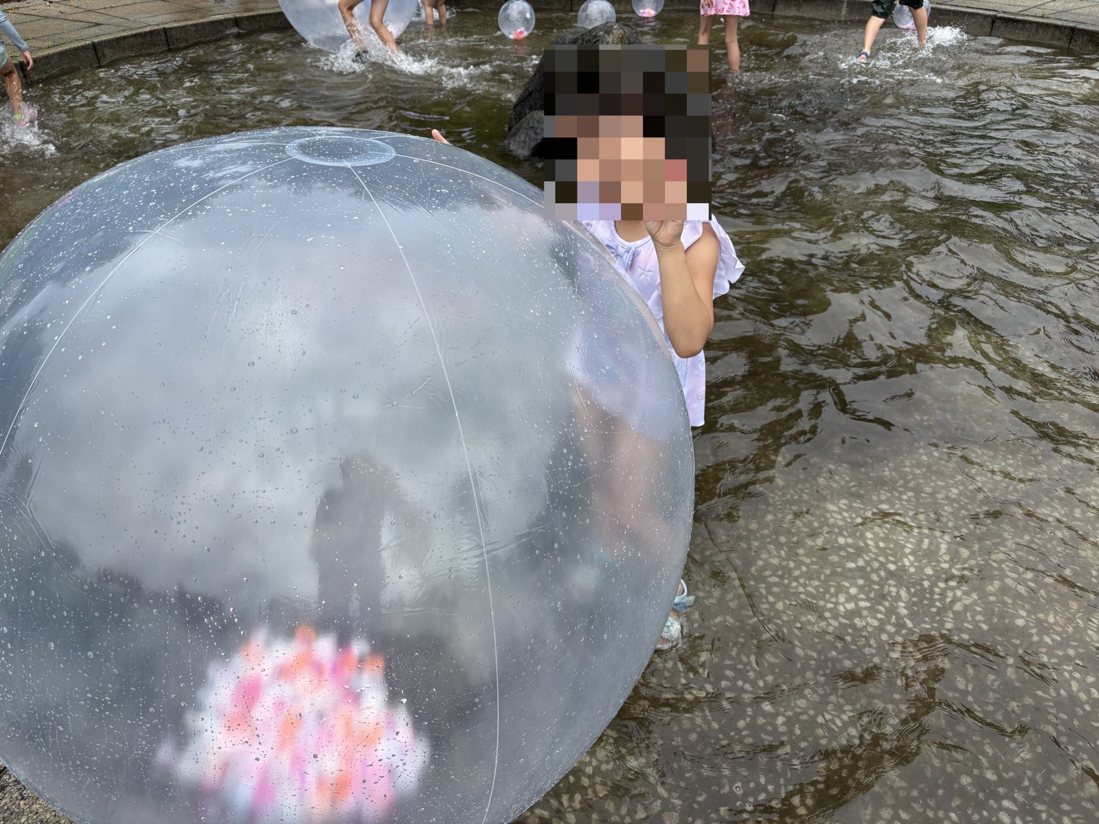 花びら入りの透明な大きなフラワーボールプール