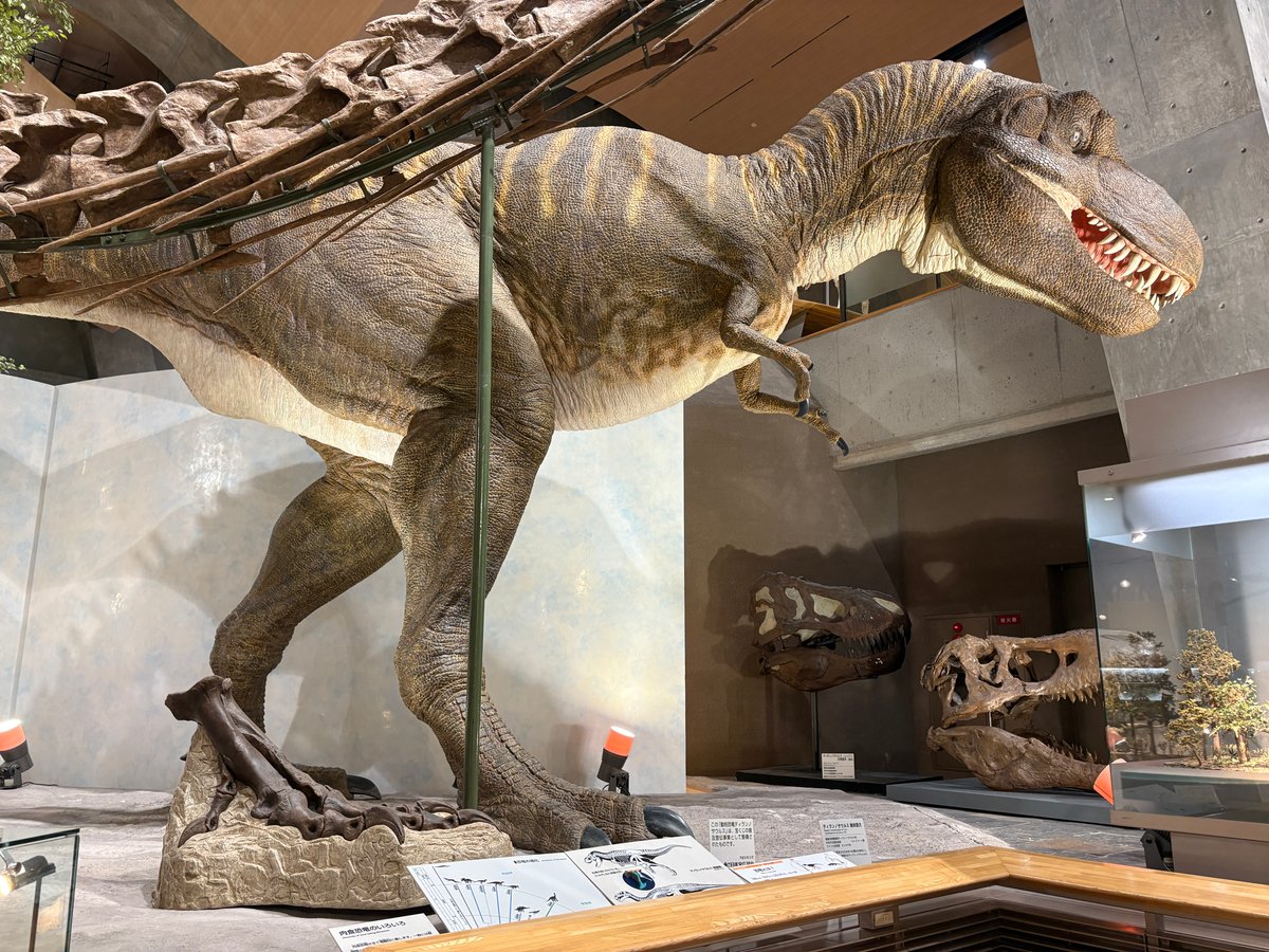 群馬県立自然史博物館の大きなティラノサウルス模型