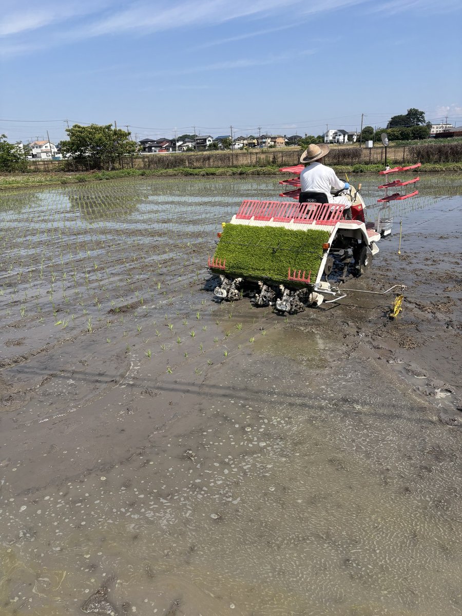機械で田植え作業