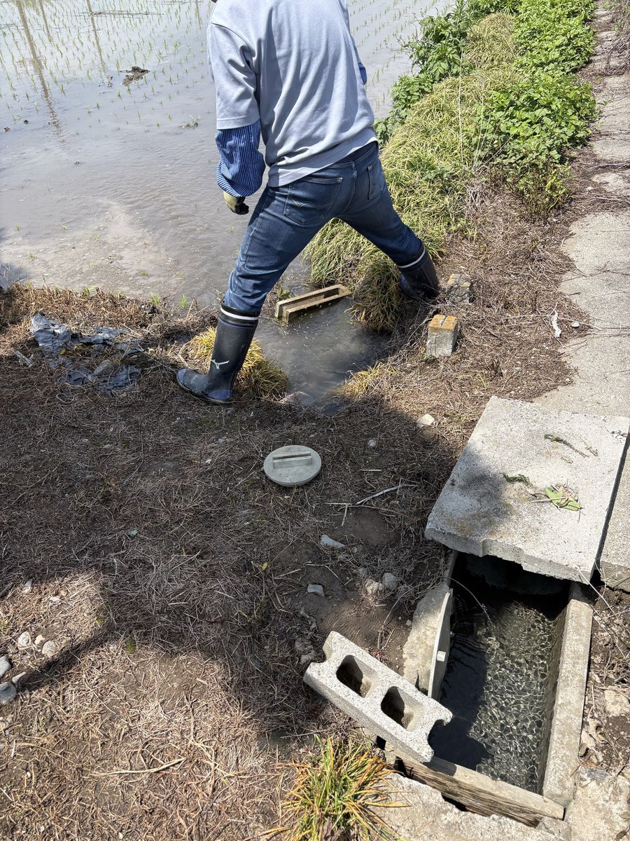 用水路から放水