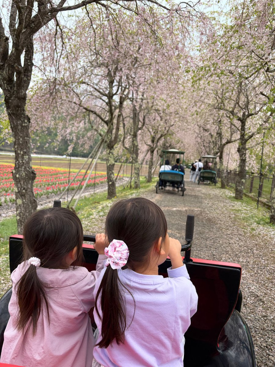 山梨旅行2日目：水族館・花の都公園・道の駅をのんびり巡った話【幼児連れにおすすめ】