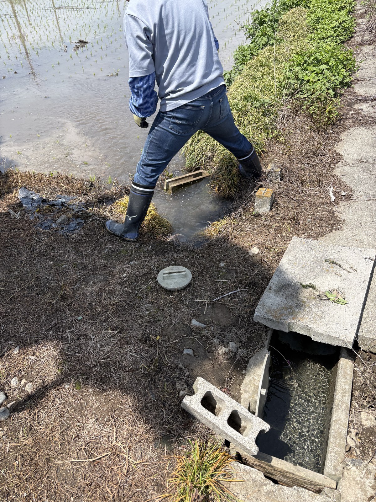用水路から放水